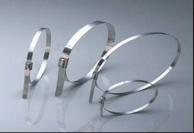 Хомут 4,6х300 (уп. 50 шт.) 07-0308 металлический Rexant