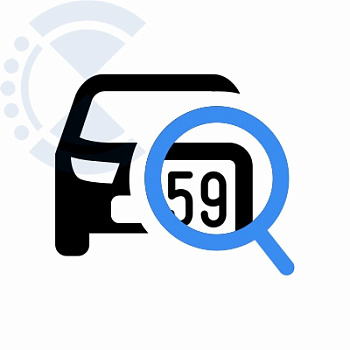 Лицензия на модуль видеоаналитики "Распознавание номеров ТС" Domination