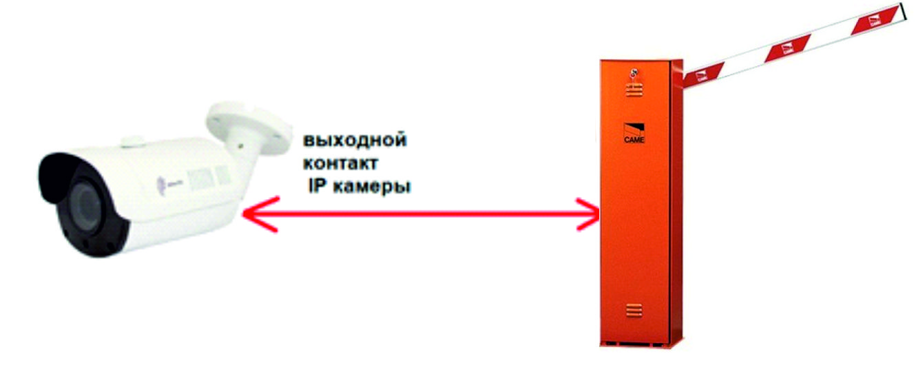 dfgdfr.jpg dfgdfr.jpg